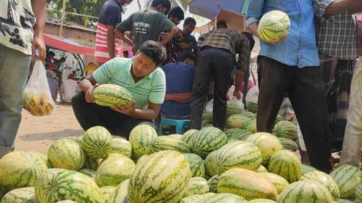 ভাঙ্গুড়ায় কেজিপ্রতি তরমুজের মুল্য ৫০ টাকা